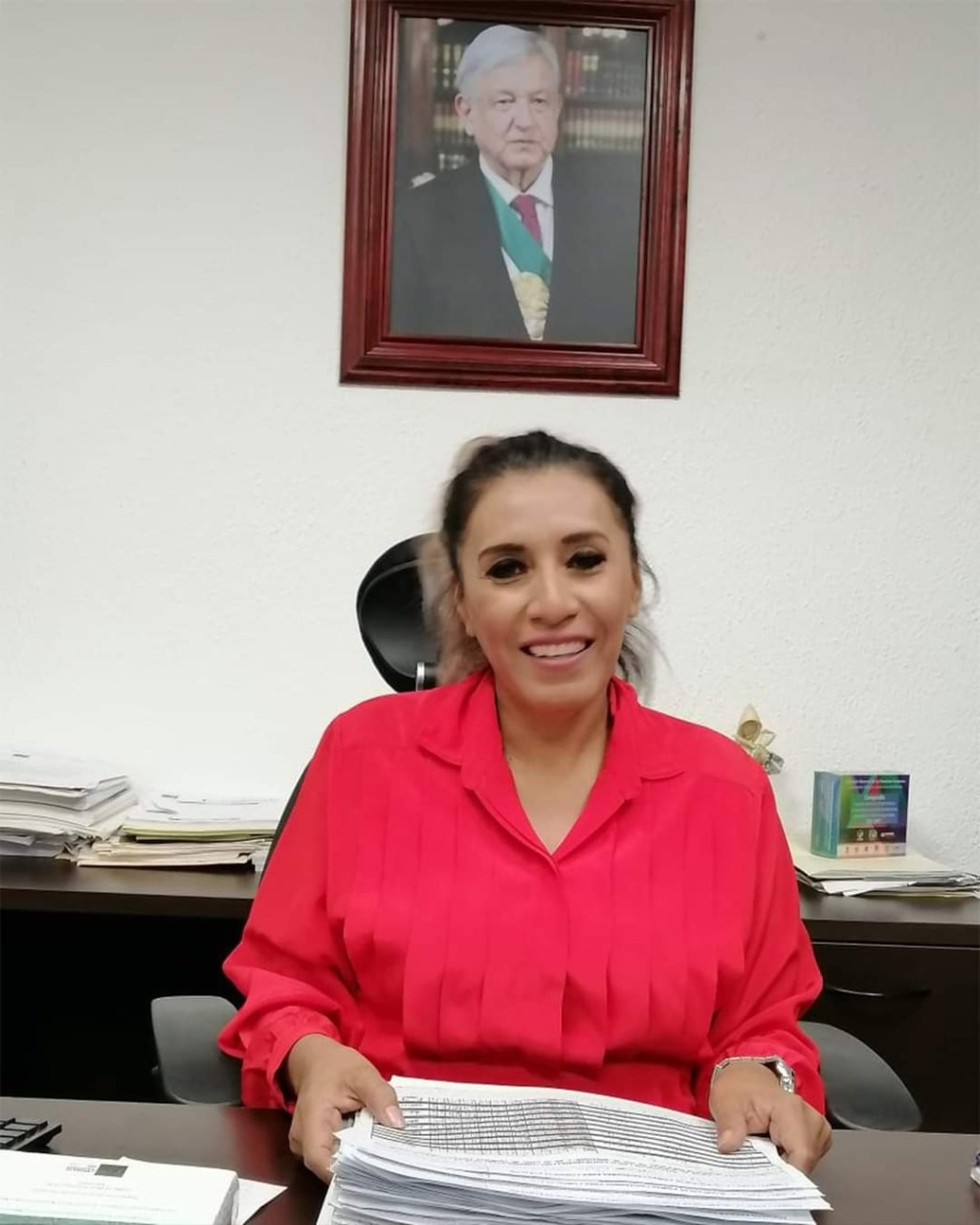 aracely ocampo diputa federal